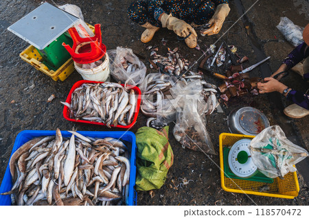 Sale of fresh fish at street seafood market in Vietnam in Asia 118570472