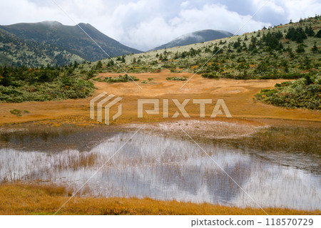 Tamoyachi Marshland on Mount Hakkoda Tamoyachi Marshland on Mount Hakkoda 118570729