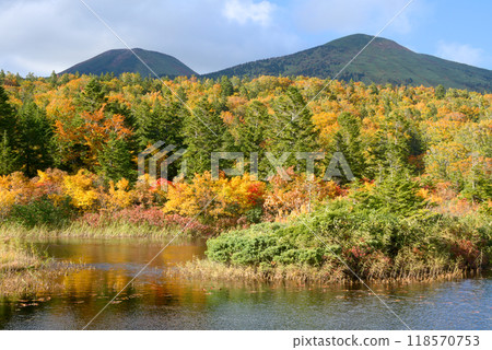 Autumn view of Mt. Hakkoda from Suiren-numa 118570753