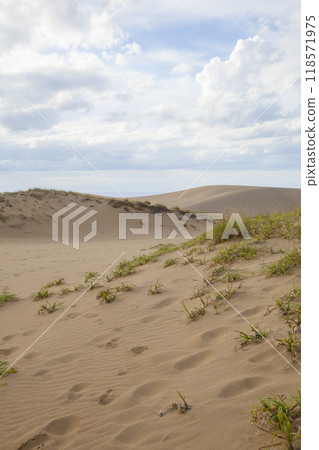 Autumn scenery of Tottori Sand Dunes Tottori Prefecture Tottori Sand Dunes 118571975