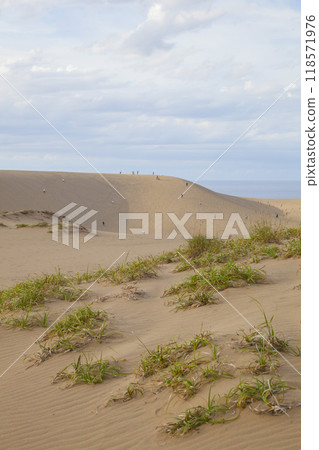 Autumn scenery of Tottori Sand Dunes Tottori Prefecture Tottori Sand Dunes 118571976
