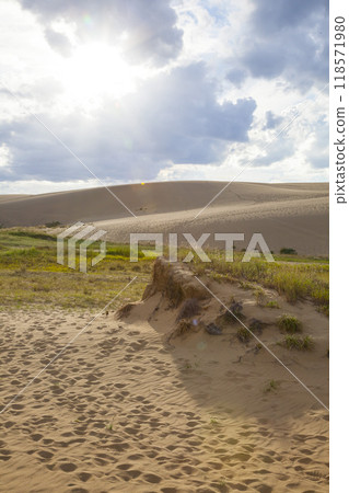 Autumn scenery of Tottori Sand Dunes Tottori Prefecture Tottori Sand Dunes Autumn scenery of Tottori Sand Dunes Tottori Prefecture Tottori Sand Dunes 118571980