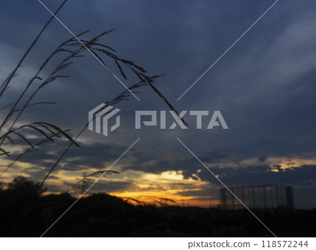 Fantastic sunset scenery Fantastic sunset scenery 118572244
