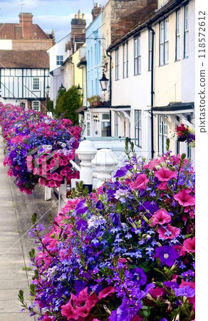 Vibrant floral displays line a charming English street with colourful houses Vibrant floral displays line a charming English street with colourful houses 118572612