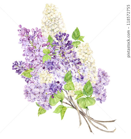 Bouquet of lilac. Violet, white and lilac spring watercolor flowers. Illustration for greeting cards with the image of Mother's Day, Women's Day, wedding in Provence style. 118572755