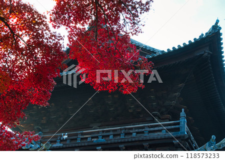 南禪寺Sanmon的秋葉 118573233