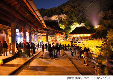 Special night viewing of Kiyomizu-dera Temple during cherry blossom season in 2023 118573327
