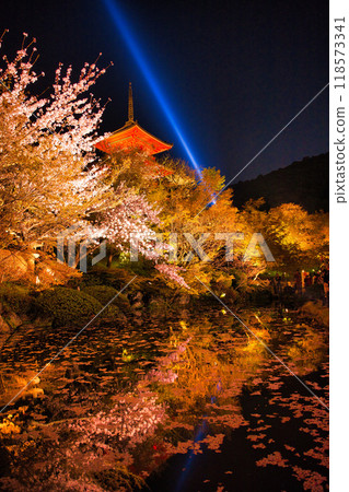 Special night viewing of Kiyomizu-dera Temple during cherry blossom season in 2023 118573341