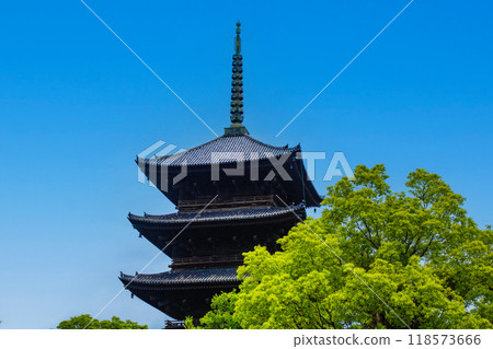 [Kyoto Scenery] The stately five-story pagoda of Toji Temple 118573666