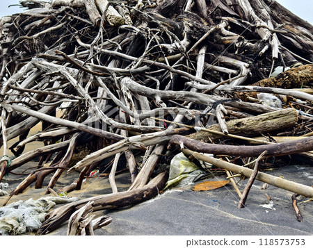 large pile consisting of branches and twigs located on the beach large pile consisting of branches and twigs located on the beach 118573753