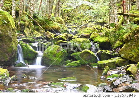 通往奧倫小屋的山路上的八岳瀑布 118573949