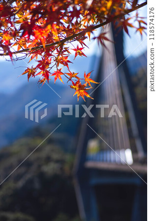 秋葉中的佐伯梅 Utagenka 橋 秋葉中的佐伯梅 Utagenka 橋 118574176