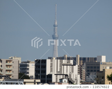 Skytree visible in the distance 118574822