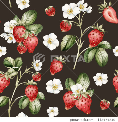 Strawberry, ripe berries with flowers and leaves. Watercolor illustration, floral seamless pattern on dark background with summer fruit for table textile, summer fabrics, wrapping and food packages Strawberry, ripe berries with flowers and leaves. Watercolor illustration, floral seamless pattern on dark background with summer fruit for table textile, summer fabrics, wrapping and food packages 118574830