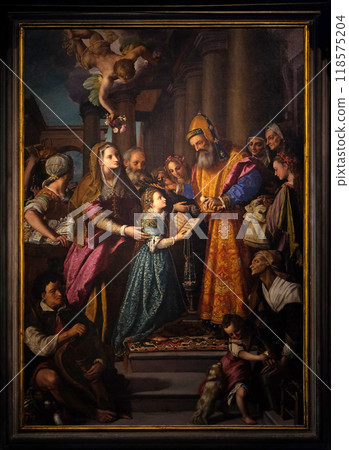 Altarpiece depicting Presentation of Mary to the temple, work by Alessandro Allori in Cathedral of St. Martin in Lucca, Italy 118575204