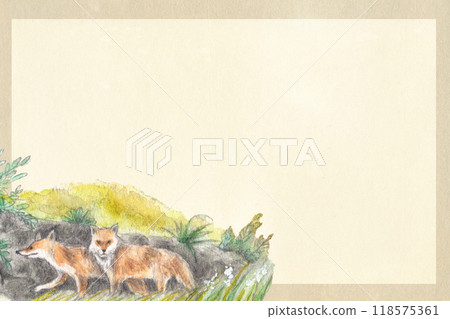 Watercolor illustration of a fox and plants and background material with old paper texture 118575361