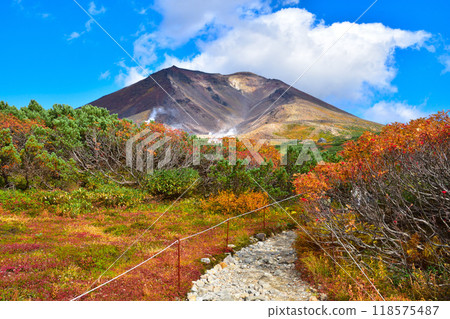 Autumn Asahidake Asahidaira 118575487