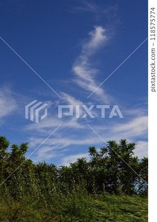 八王子市淺川岸的夏日天空 八王子市淺川岸的夏日天空 118575774