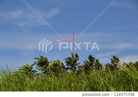 八王子市淺川岸的夏日天空 118575786