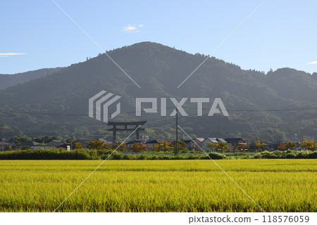 Mount Miwa and golden rice fields Mount Miwa and golden rice fields 118576059
