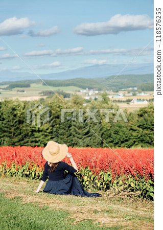 坐在花田裡的女人，以北海道的大自然為背景 118576255