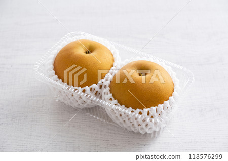 大玉梨 秋月梨 118576299