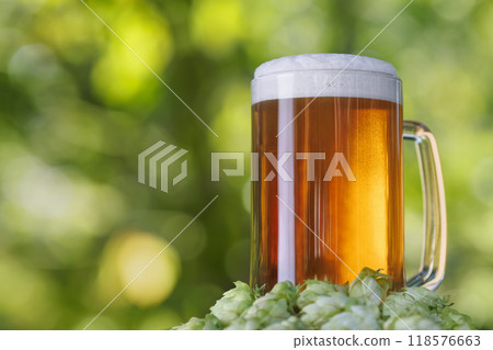 beer in mug and hop cones near on green garden as background 118576663