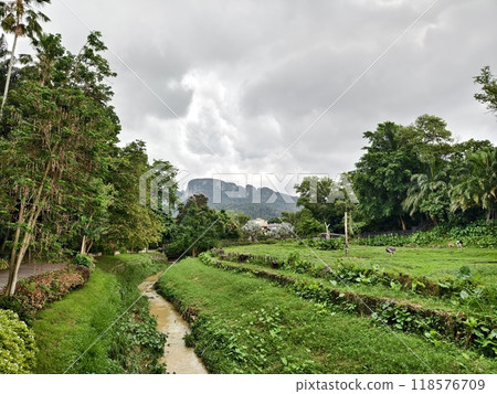 A beautiful lush green landscape featuring a cloudy sky and a stunning mountain background 118576709