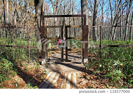 Senjogahara Nature Study Trail (Odashirogahara) in late autumn [Nikko City, Tochigi Prefecture] 118577000