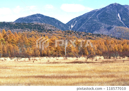 Senjogahara Nature Study Trail (Odashirogahara) in late autumn [Nikko City, Tochigi Prefecture] 118577010
