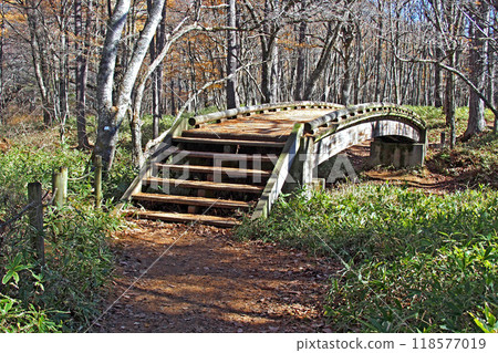 Senjogahara Nature Study Trail in late autumn [Nikko City, Tochigi Prefecture] 118577019