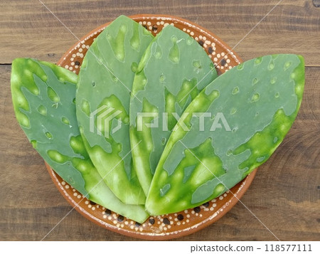 Four spineless Mexican prickly pear cacti on a plate 118577111