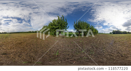 360 VR. Mulberries in the country 118577220