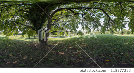 360 VR. Mulberries in the country 118577233