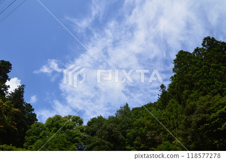 夏季禦嶽山 青梅市 夏季禦嶽山 青梅市 118577278