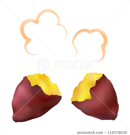 蒸半紅薯(烤地瓜)的向量圖 蒸半紅薯(烤地瓜)的向量圖 118578030