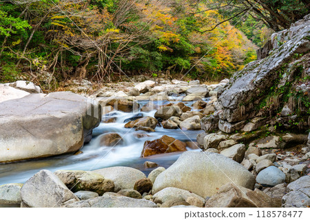 奧津溪谷的秋天 紅葉溪谷 岡山縣富田郡鏡野町 10 奧津溪谷的秋天 紅葉溪谷 岡山縣富田郡鏡野町 10 118578477