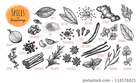 Ink Drawings of Spices and Herbs. 118578825