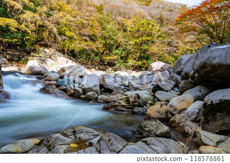 奧津峽谷的秋天流和紅葉 5 岡山縣富俁郡鏡野町 118578861
