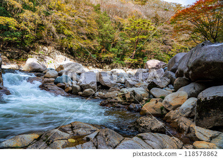 Autumn in Okutsukei Valley: River flow and autumn leaves 6, Kagamino-cho, Tomata-gun, Okayama Prefecture 118578862