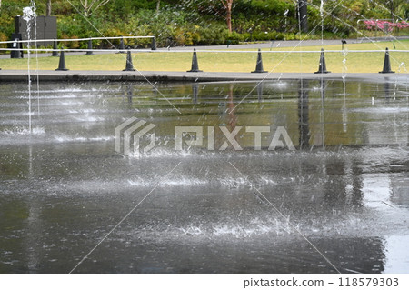 這個城市的綠洲 這個城市的綠洲 118579303