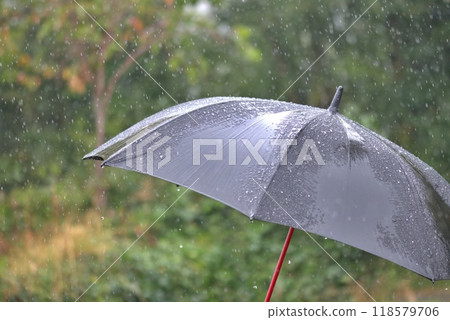 Umbrella in the pouring rain Umbrella in the pouring rain 118579706