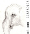 Pencil hand-drawn elephant 118580128