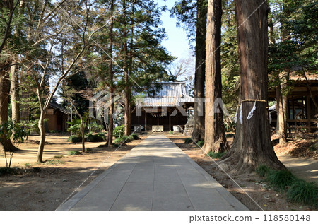 八幡神社位於埼玉縣深谷市上野台。 118580148