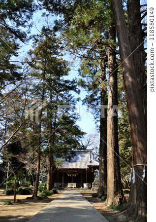 八幡神社位於埼玉縣深谷市上野台。 118580149
