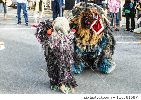 Lions and monkeys in Maezato, Itoman, Okinawa Prefecture 118581587