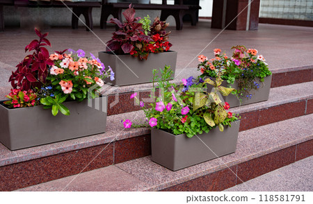 Colorful flower pots on outdoor steps enhancing patio decor. 118581791