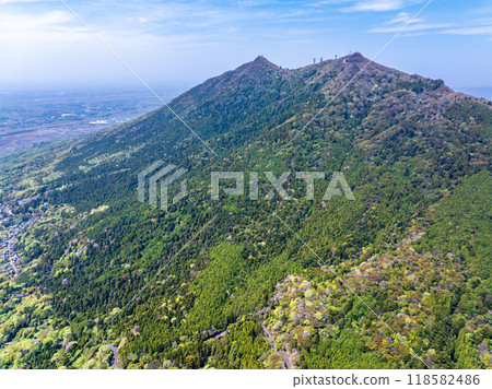 櫻花盛開的筑波山（茨城縣） 118582486