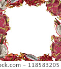 Pitaya frame, pink dragon fruit. Exotic tropical ripe fruits, slices and whole, hand drawn watercolor painting in realistic style. Exotic fruits 118583205