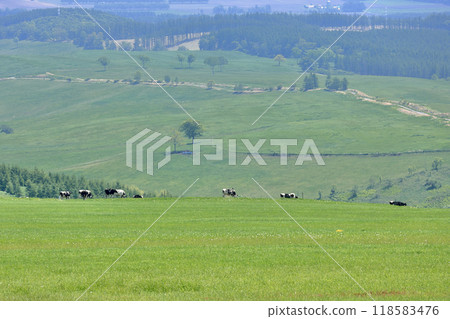 Naitai Takahara Ranch Naitai Takahara Ranch 118583476